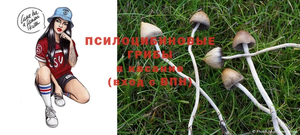 круглые Армянск