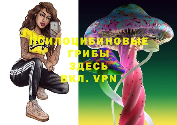 apvp Арсеньев
