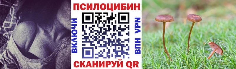 KRAKEN ссылки  Туринск  Галлюциногенные грибы Magic Shrooms 
